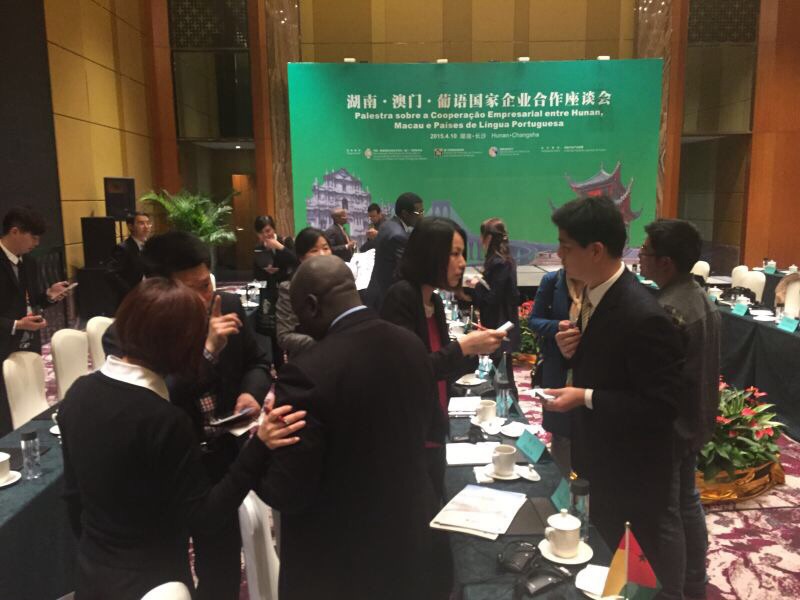 葡語國家派駐代表與湖南省企業進行交流