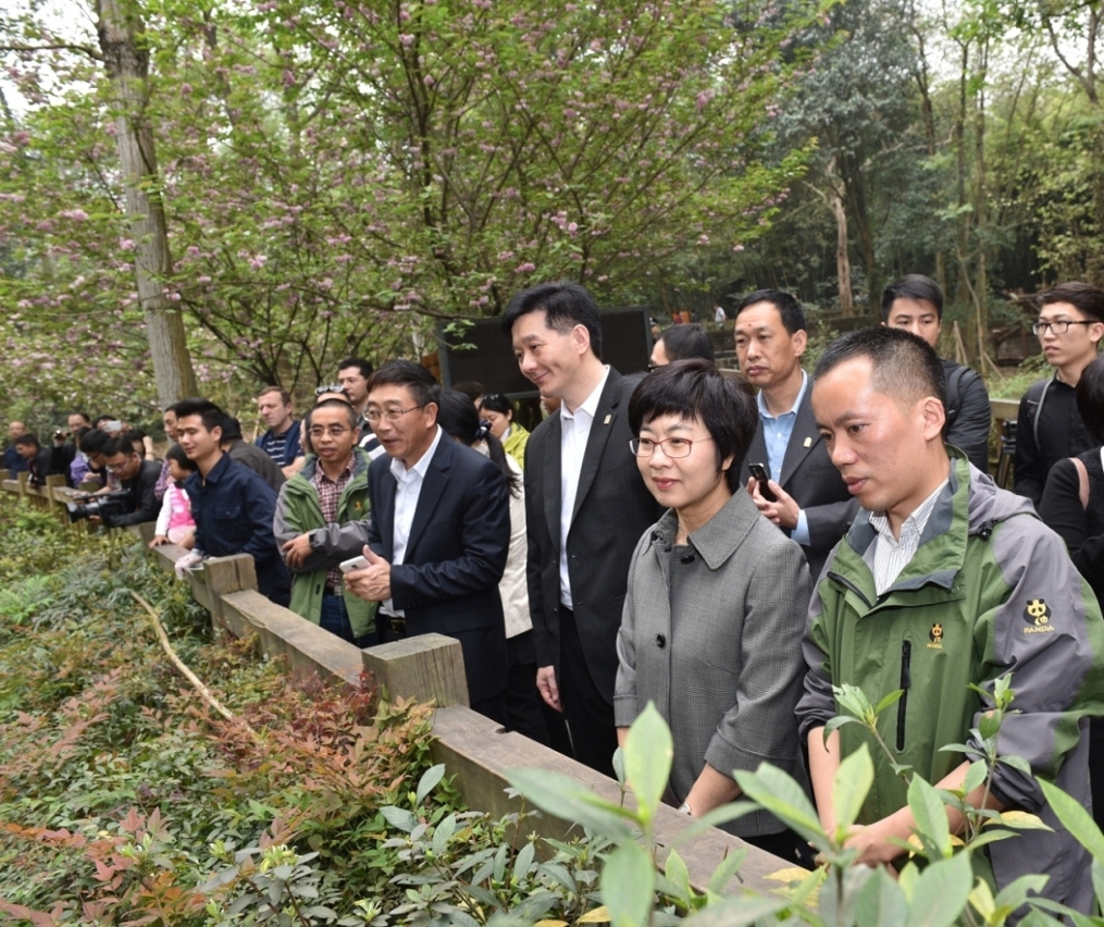 The government co-ordinating group visit the pair of shortlisted panda.