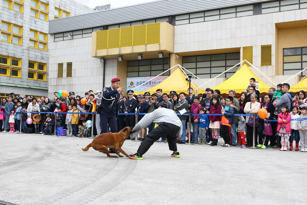 警犬隊表演