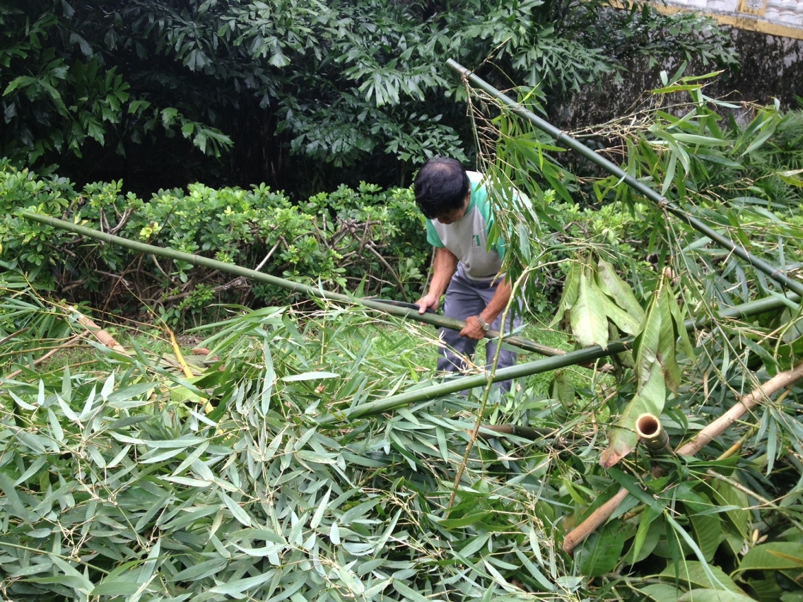 工作人員清理公園內掉落的樹枝2