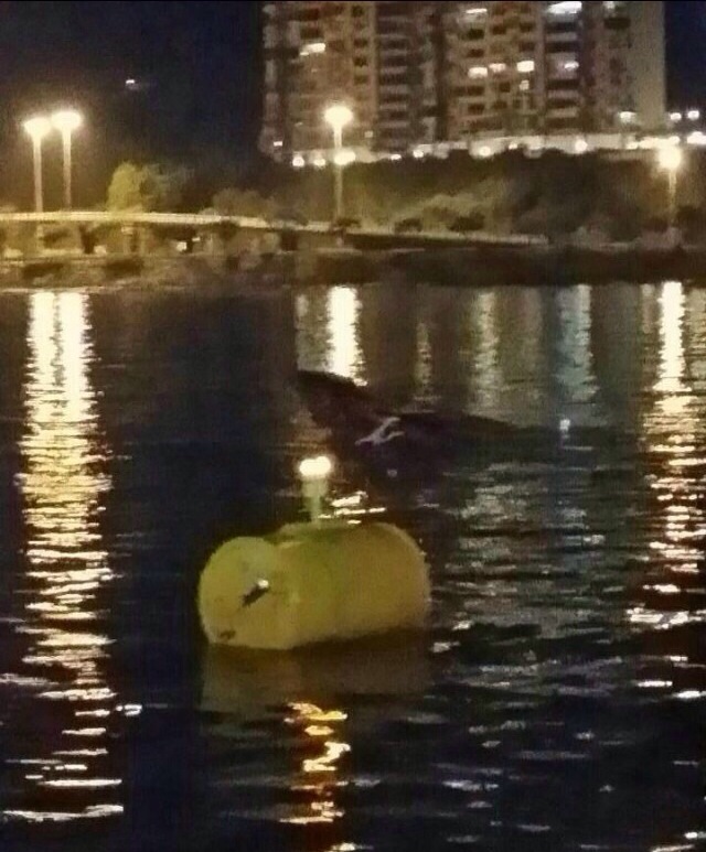 海事局凌晨設浮標保障航行安全