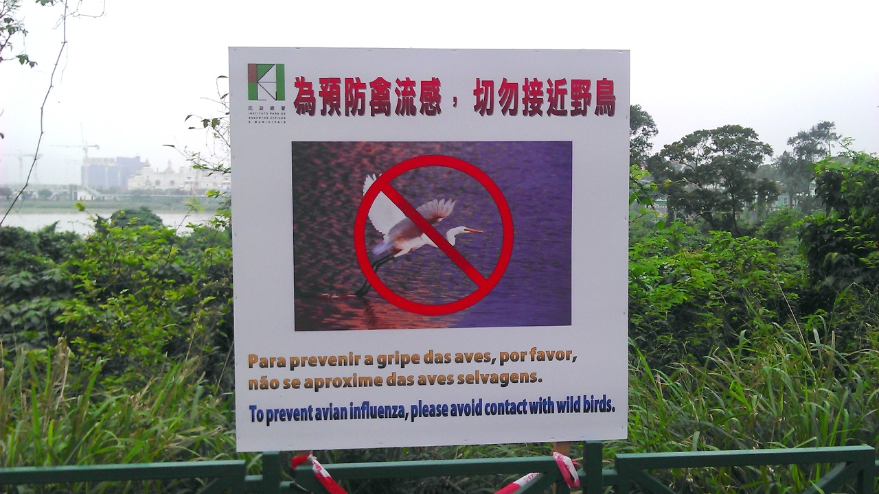 豎立告示牌提醒市民避免接觸野鴿及其排泄物