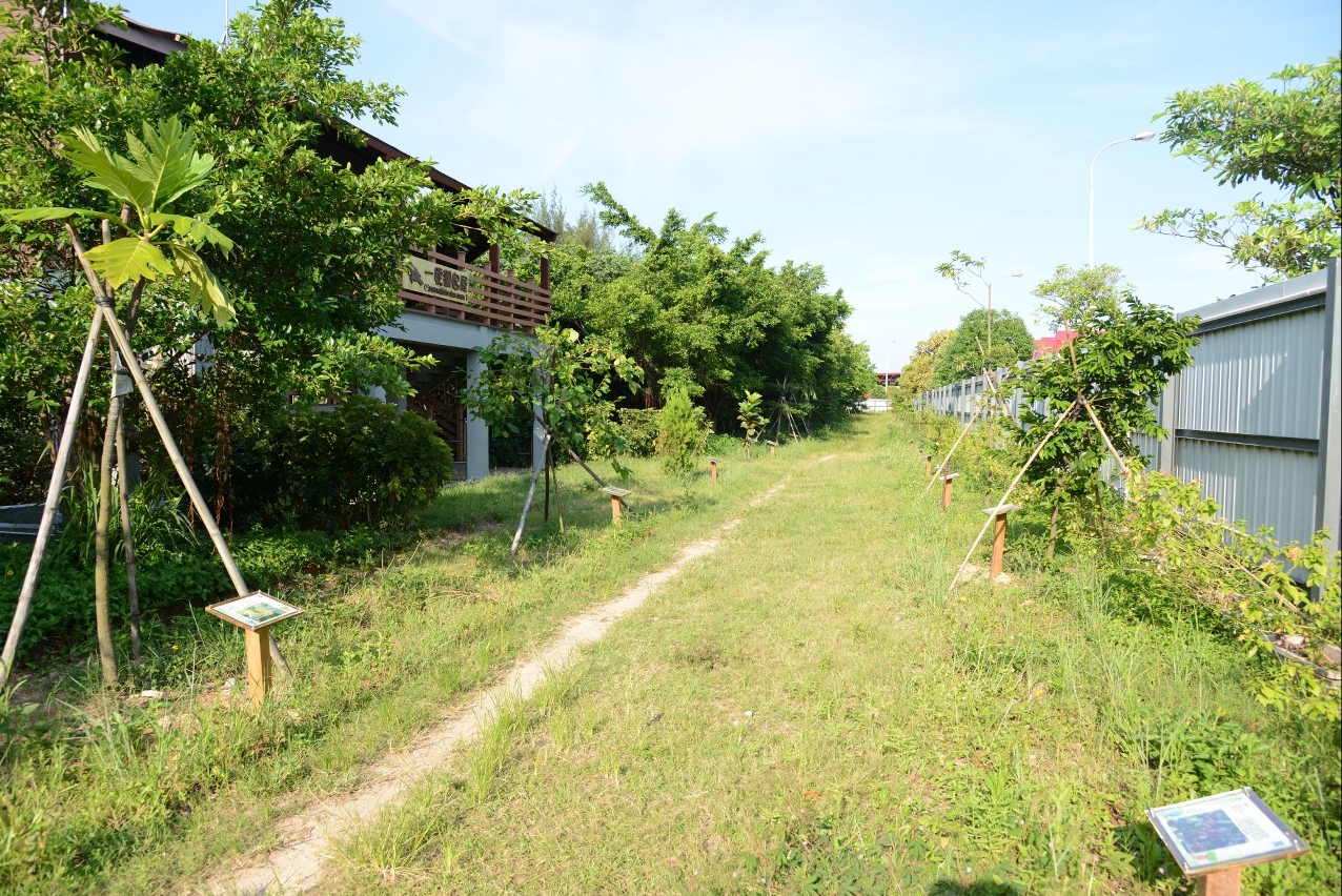 為強化生態教育功能，環保局在貫通兩間觀鳥屋的地帶修建了一條自然研習徑。