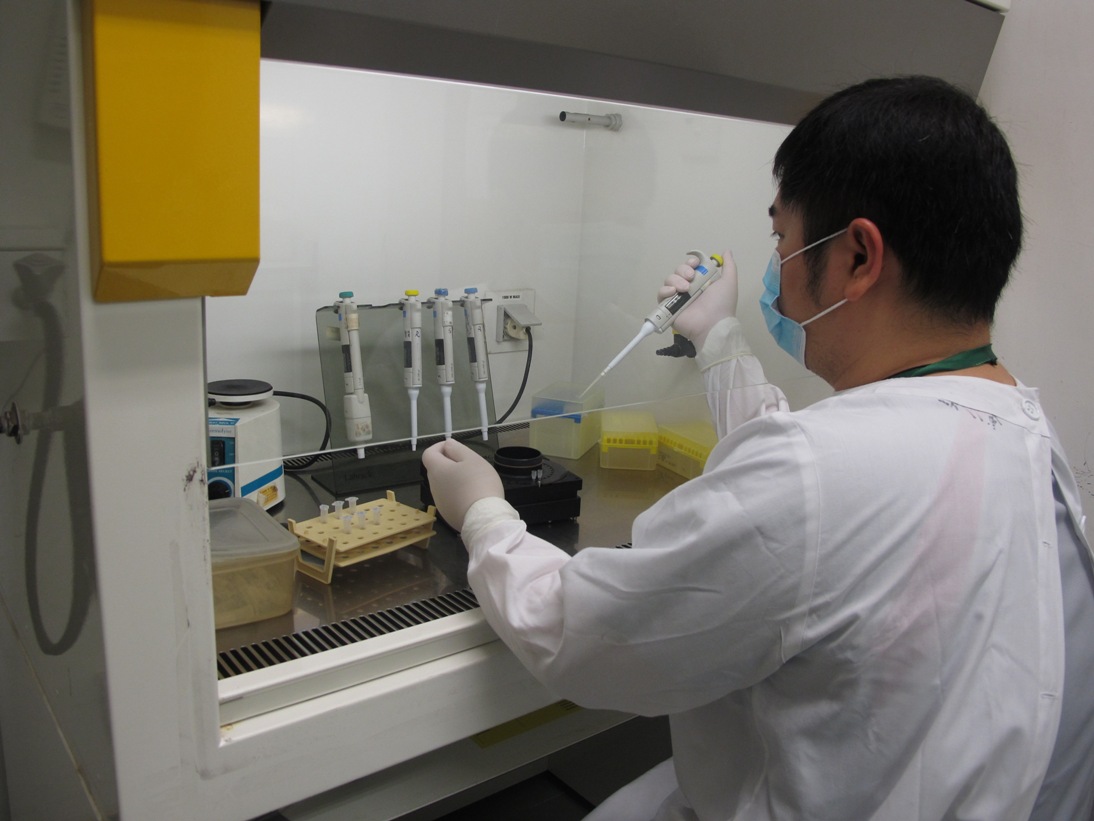 公共衛生局化驗所已建立H7N9檢測技術