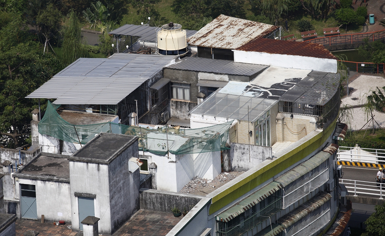 牧場街栢濤閣天台屋擁有人陸續自行清拆