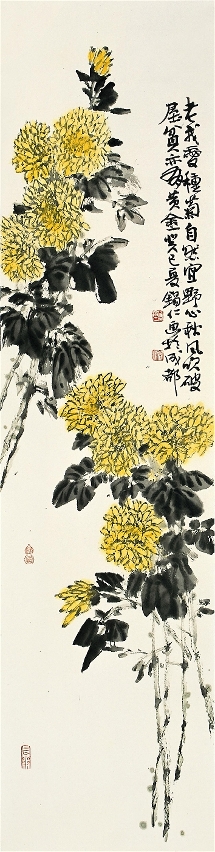 菊