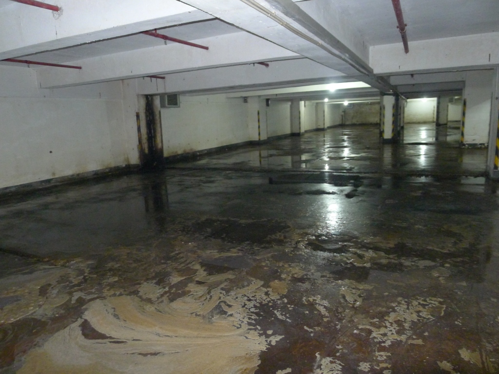 大廈地庫負三層的停車場和食水池衛生環境惡劣