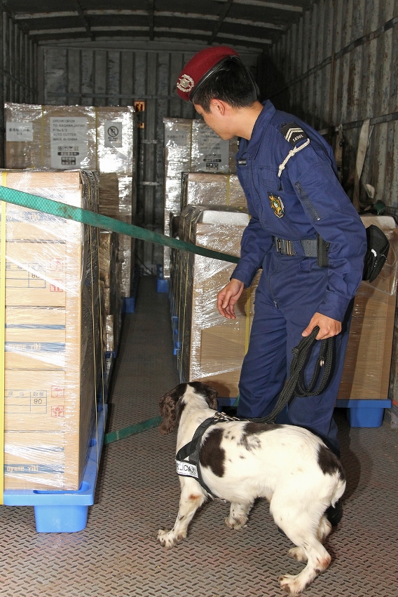 口岸協助緝毒