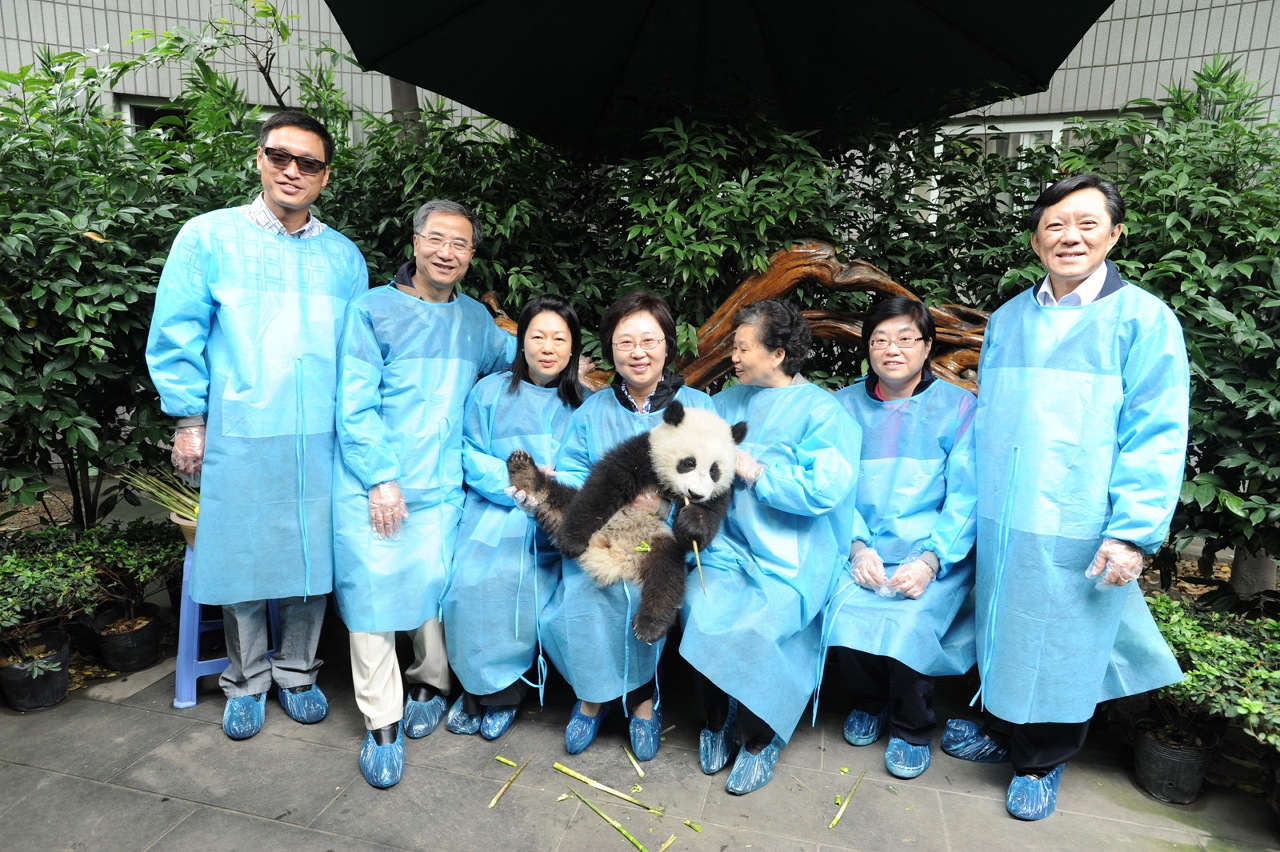 澳門代表團成員參觀大熊貓繁育研究基地