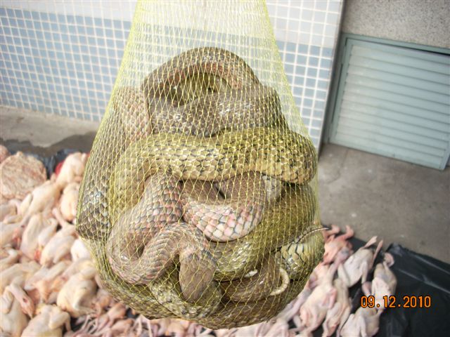 圖片三