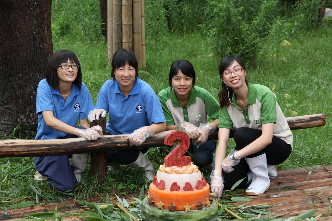 兩地管護人員合作為來澳大熊貓送上生日蛋糕