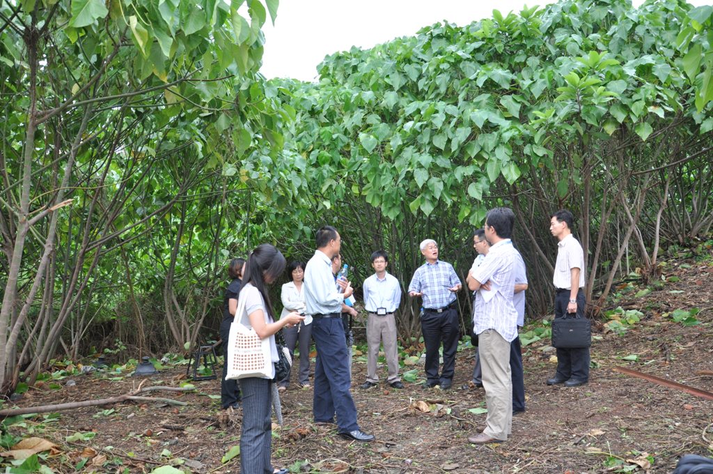 離島區社諮會與交局、工務局及民署視察氹仔飛能便度街空置地段