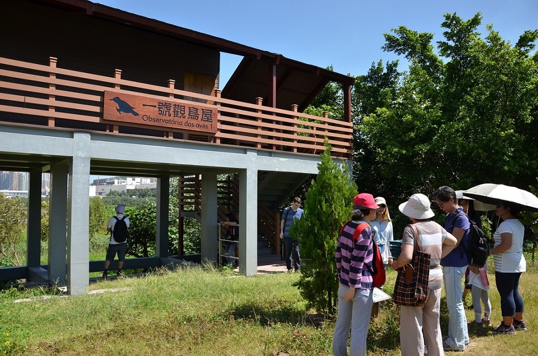 Em frente do observatório das aves, o guia de visita explica aos visitantes as características das plantas que se encontram em ambos os lados do trilho de estudo.