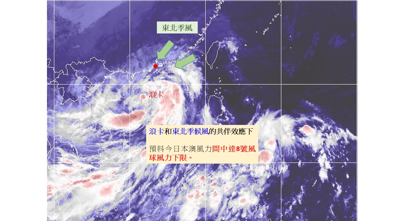 浪卡