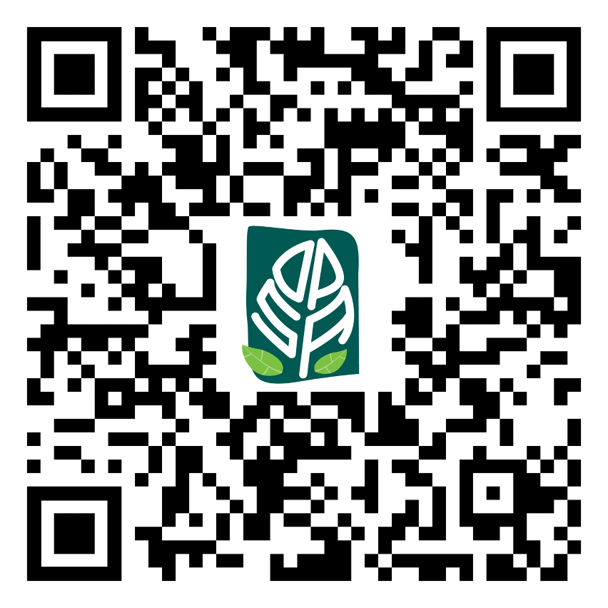 código qr do relatório do estado do ambiente de macau 2020