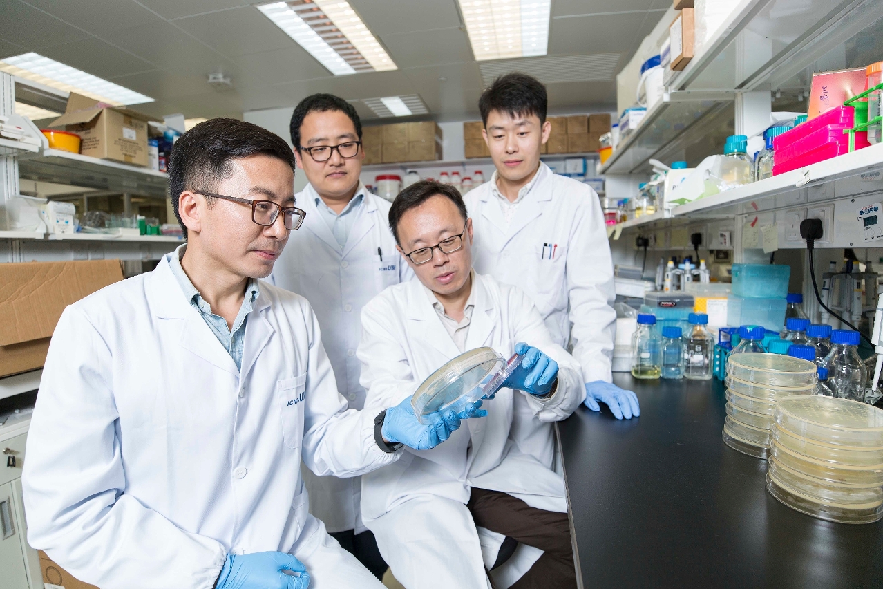UM has developed an eco-friendly antibiotic against antibiotic resistant bacteria