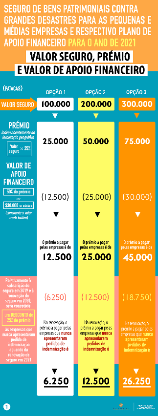 Exemplos relativos ao Seguro de bens patrimoniais contra grandes desastres para as pequenas e médias empresas e respectivo plano de apoio financeiro para o ano de 2021