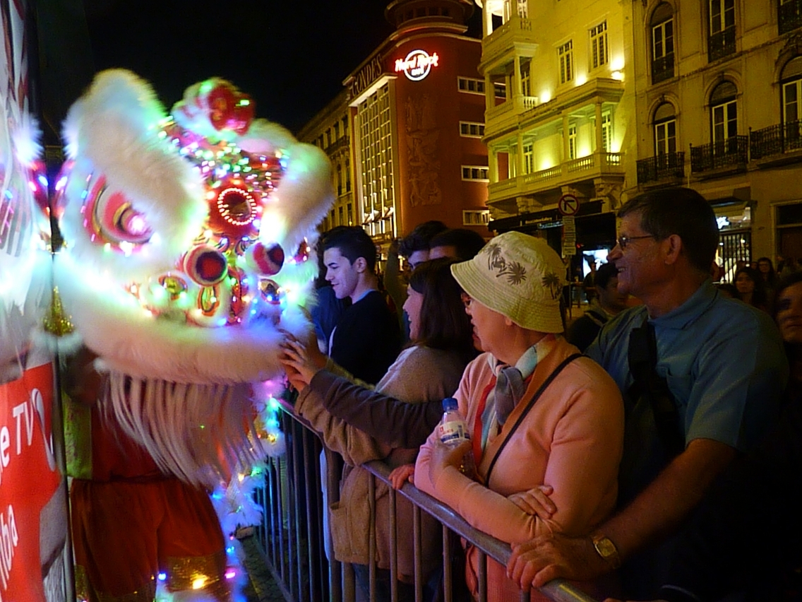 Lion dance team wins applause among European spectators