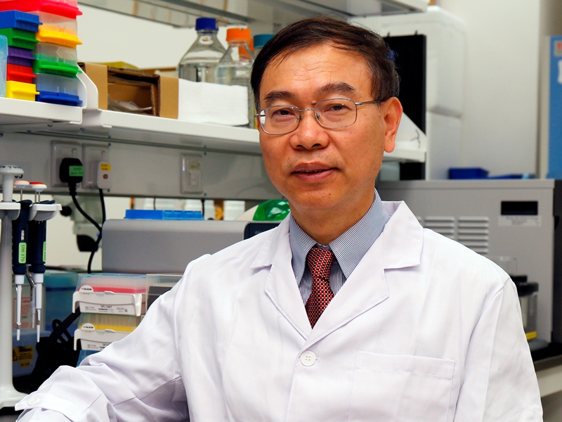 UM has appointed cancer research expert Chair Professor Chuxia Deng as the dean of its Faculty of Health Sciences