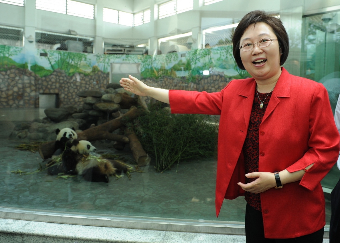 A secretária, Florinda Chan, faz apresentação sobre um casal de pandas à RAEM à comunicação social