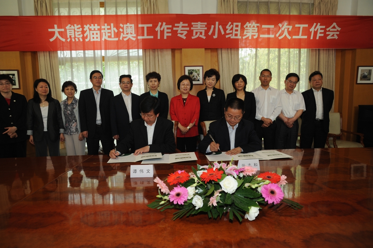 O IACM assinou um protocolo de cooperação com o “Chengdu Research Base of Giant Panda Breeding” no domínio da gestão e criação de pandas e ainda de investigação e ciência
