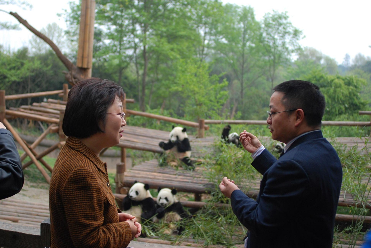 Especialista apresenta à delegação as condições de vida dos pandas na Chengdu Research Base of Giant Panda Breeding