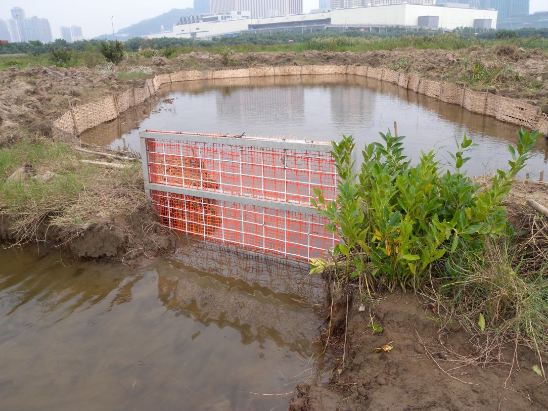 Construção de um tanque de peixes que tem por finalidade de fornecer alimentos às aves.