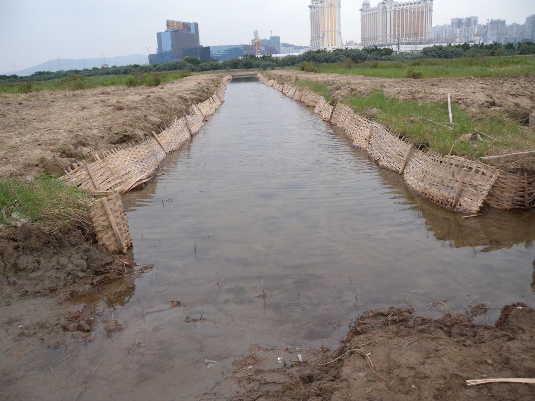 Obras de escavação para formar um canal artificial na Zona Ecológica 1, com vista a melhorar o ambiente aquático aumentando o espaço para nidificação das aves aquáticas.