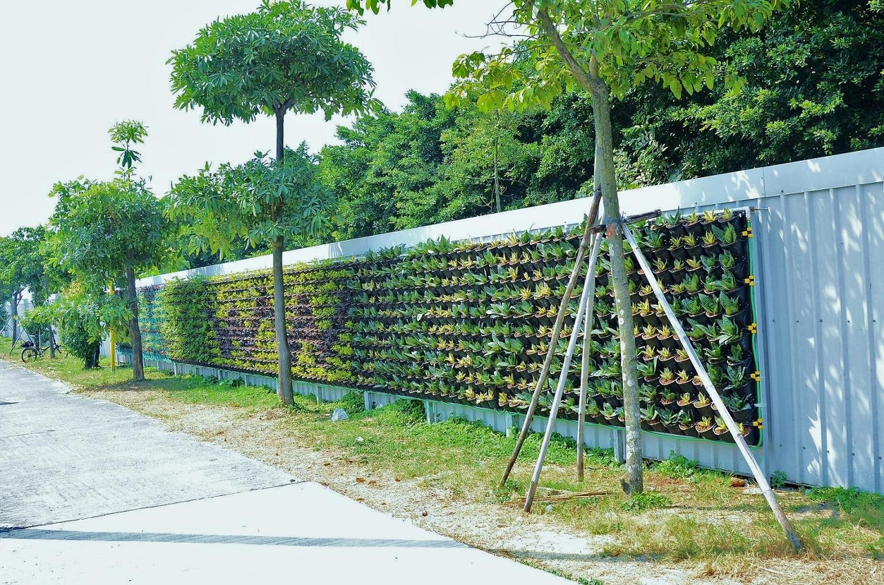 A DSPA desenvolve o Plano Experimental de Arborização Vertical, no lado de fora do muro de vedação da Zona Ecológica I