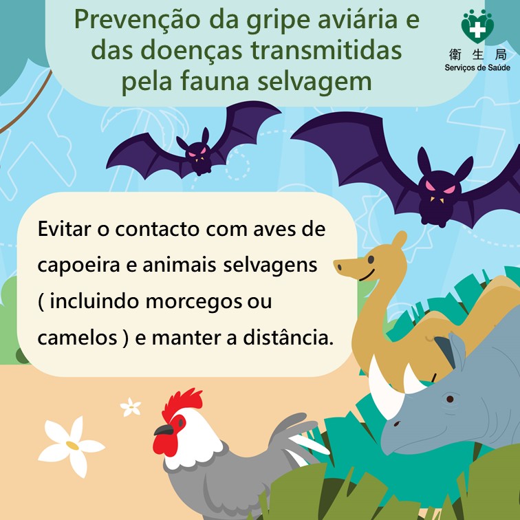 Dicas para viajar de forma saudável e segura durante as férias de Verão