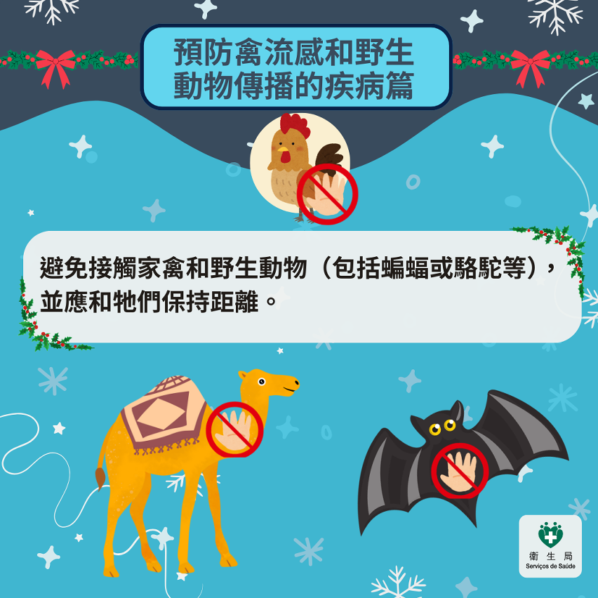 圣诞外游小贴士图文包