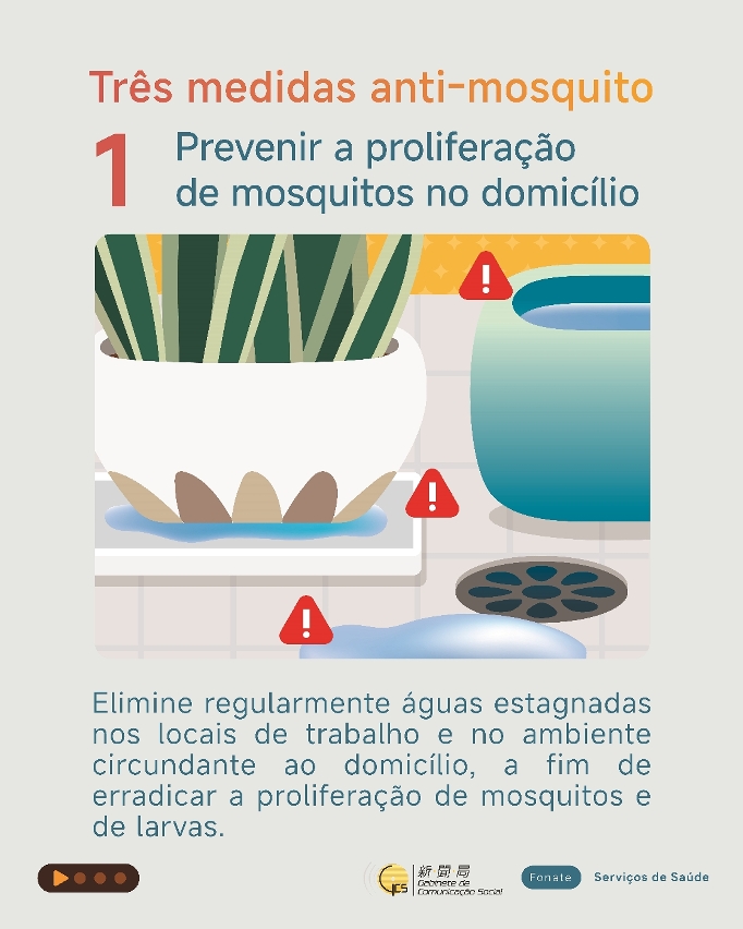 Três medidas anti-mosquitos