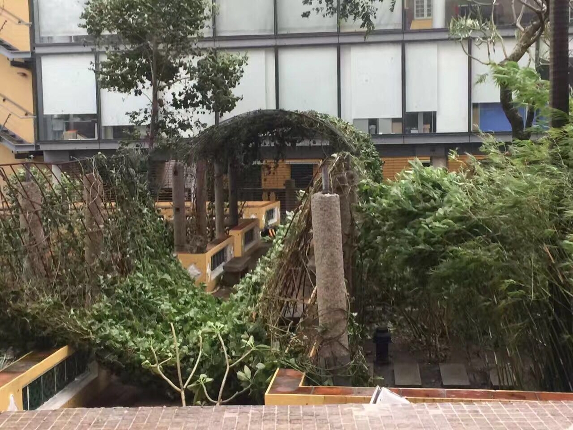 文化局部分圖書館受影響暫停開放