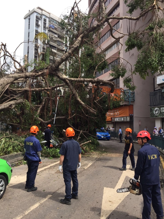 民署會先行處理影響行車路面的個案
