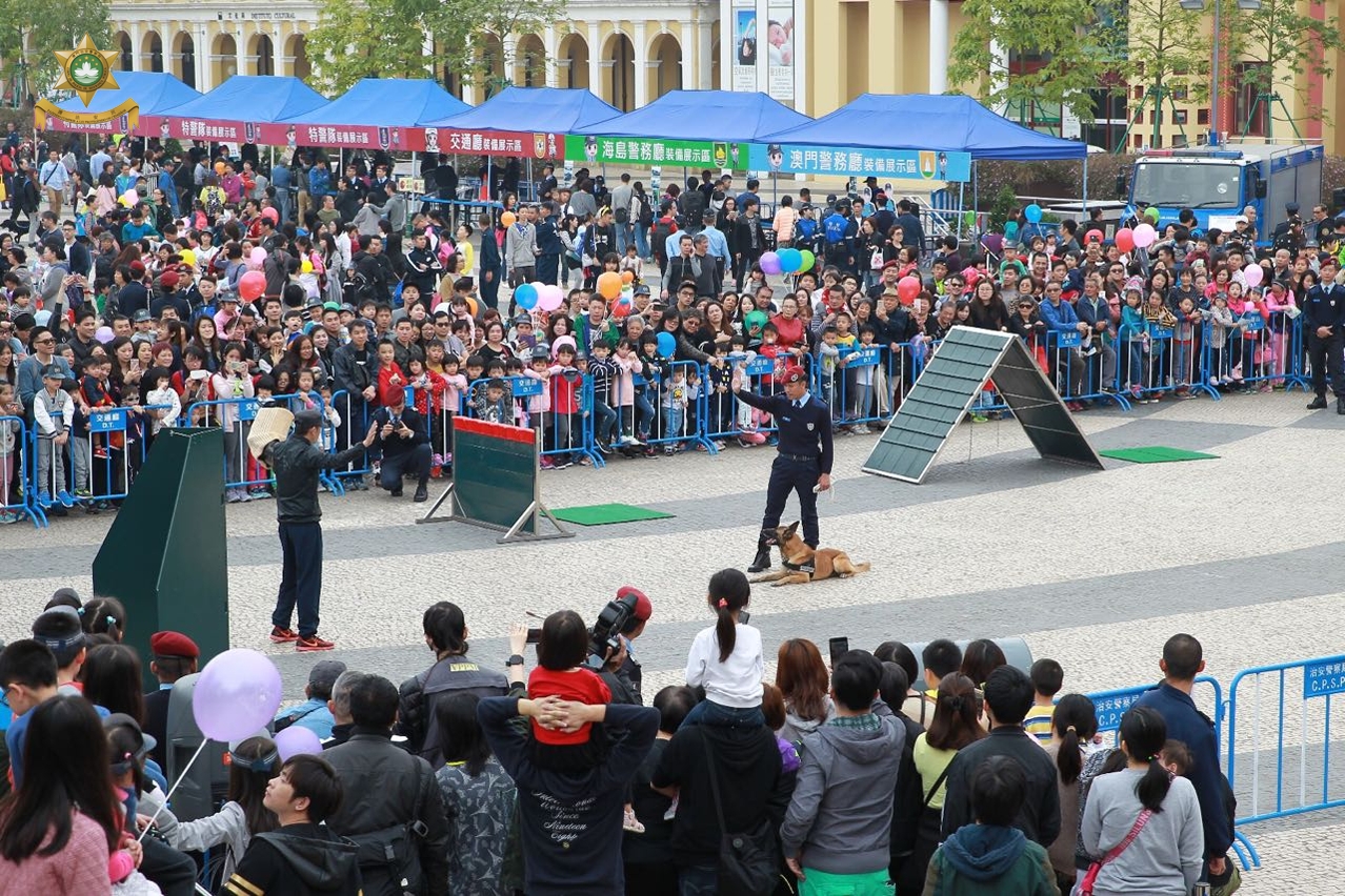 警犬表演