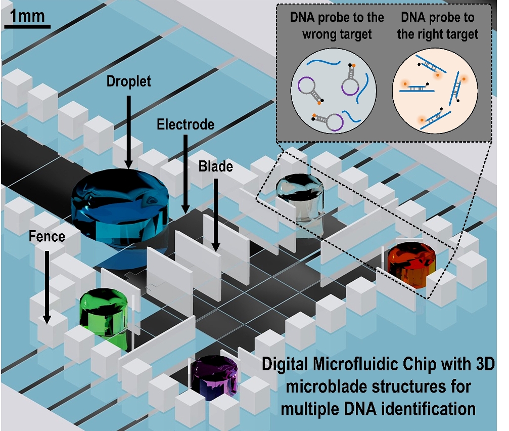 澳大最新研究論文榮獲《Lab on a Chip》刊載