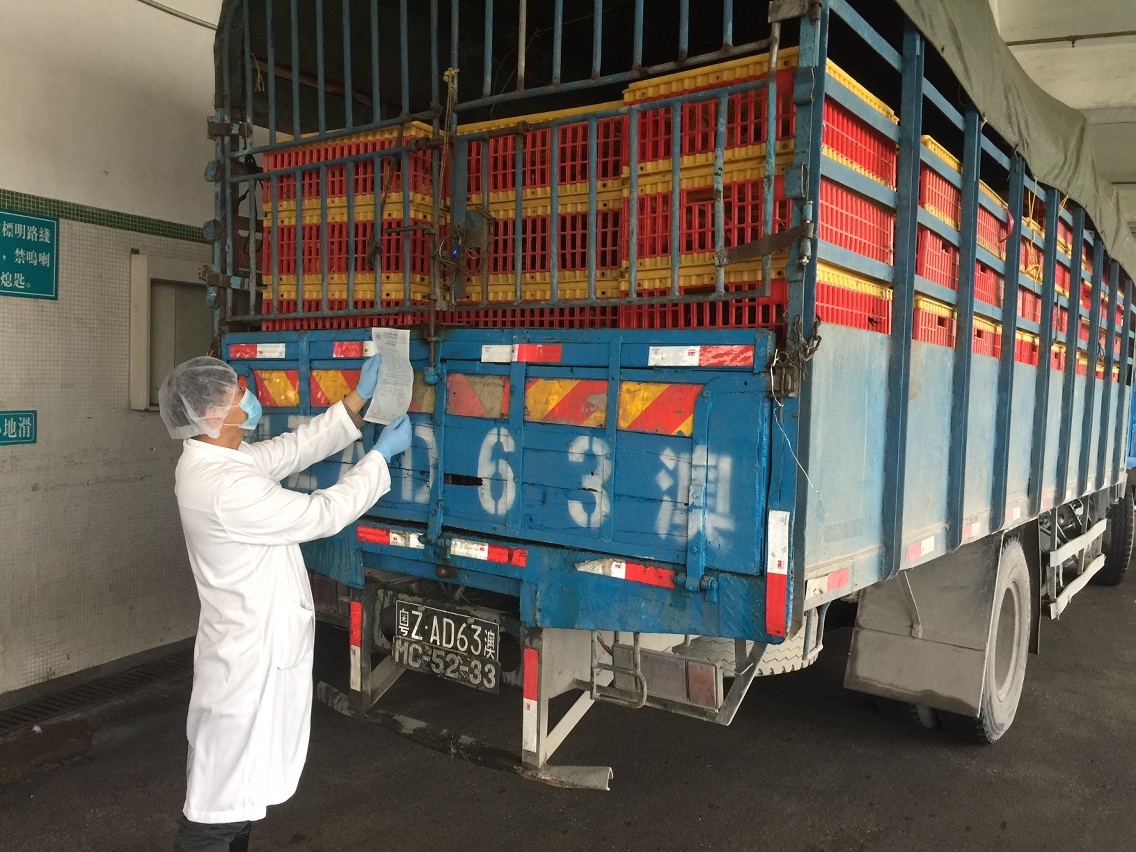 民署檢疫人員核對活禽衛生證資料及封條