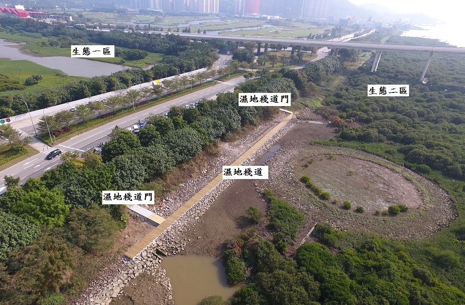 導賞員會帶領參觀者沿著生態二區新建的濕地棧道，近距離認識紅樹林濕地動植物。