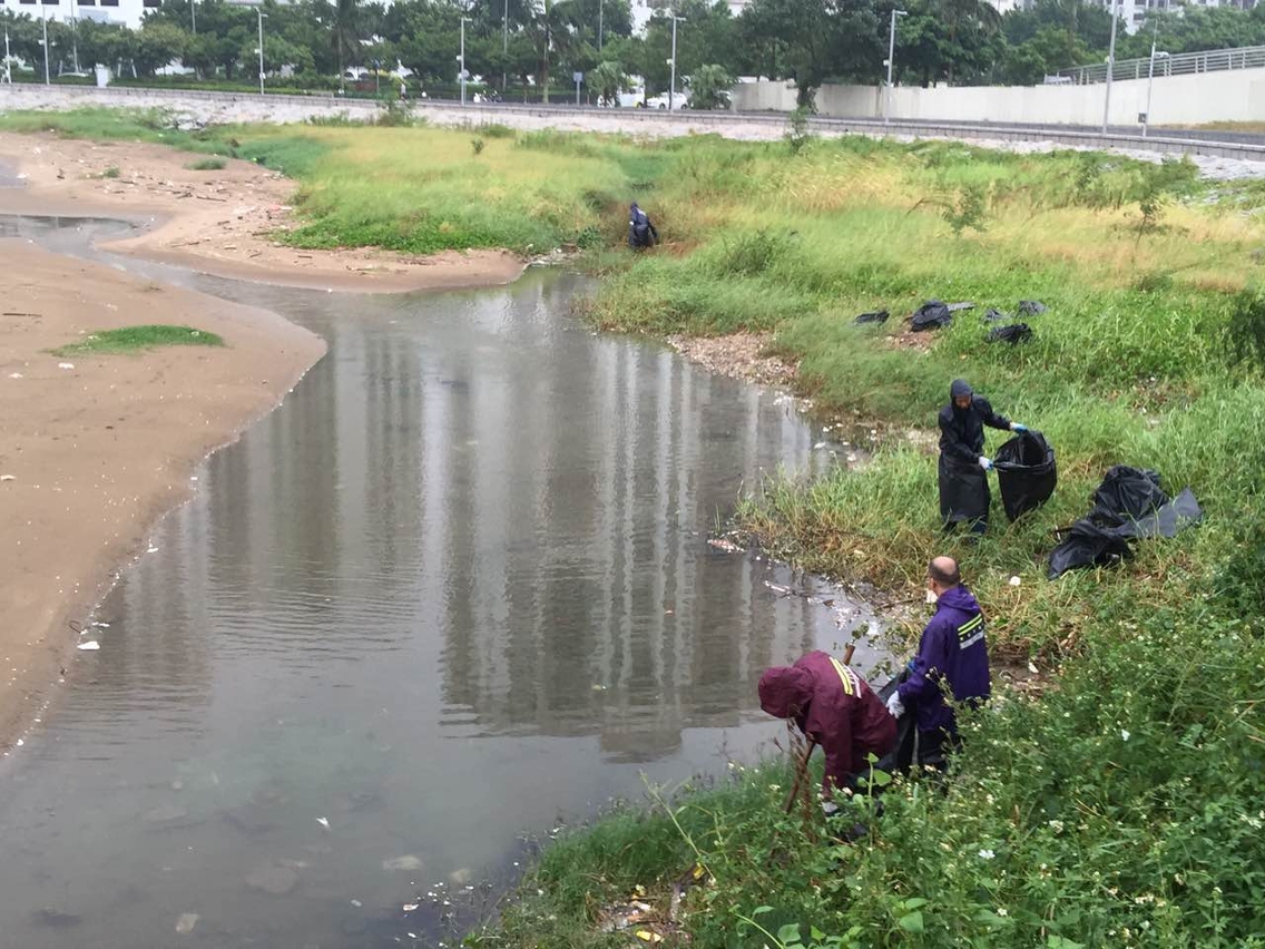 工作人員清理海洋花園對開淺灘死魚