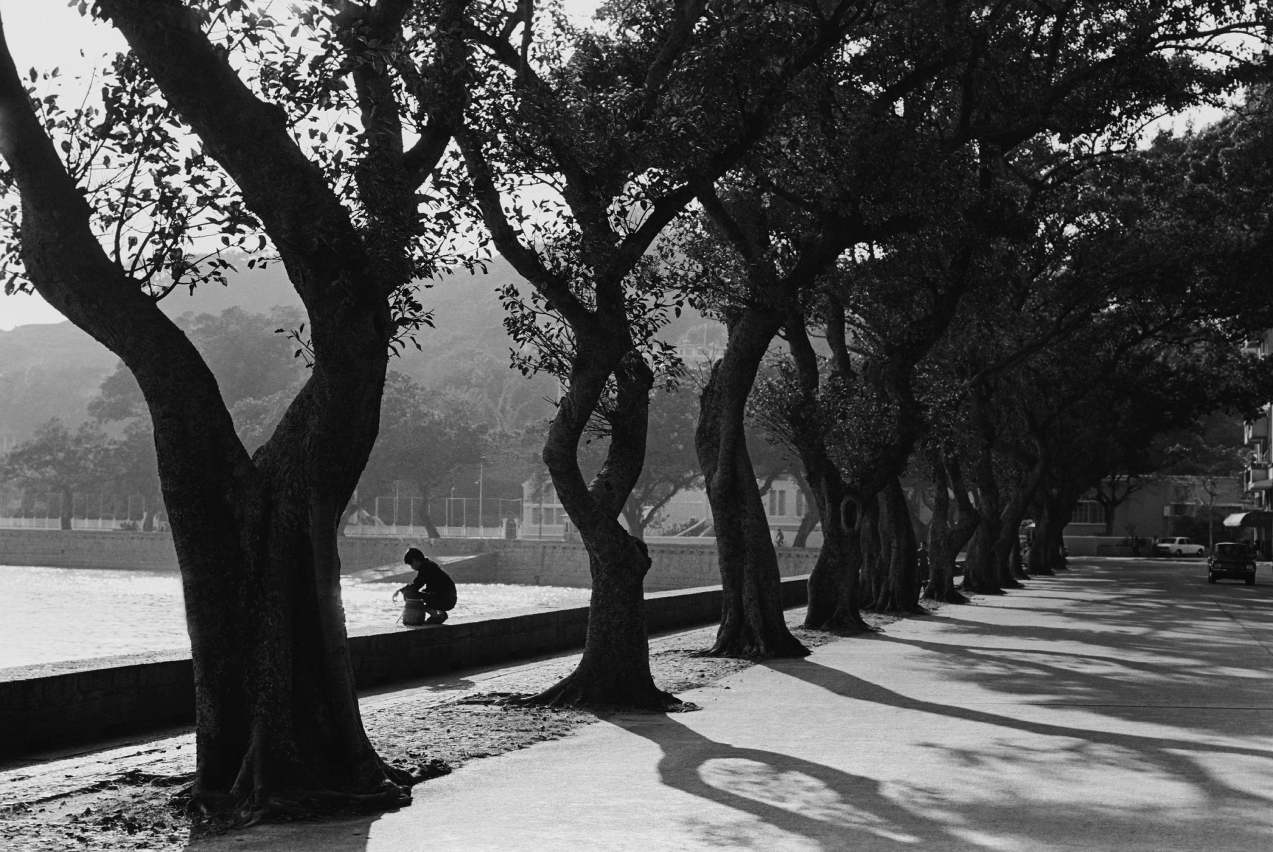 Amor por Macau – Fotografias de Lee Kung Kim, uma exposição de fotografias documentais que tem Macau como tema.