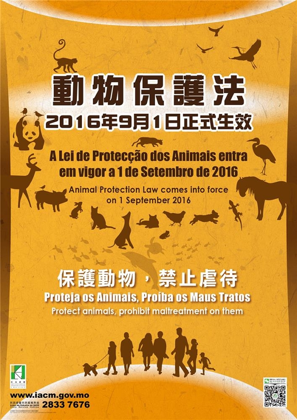 動物保護法9月1日起正式生效