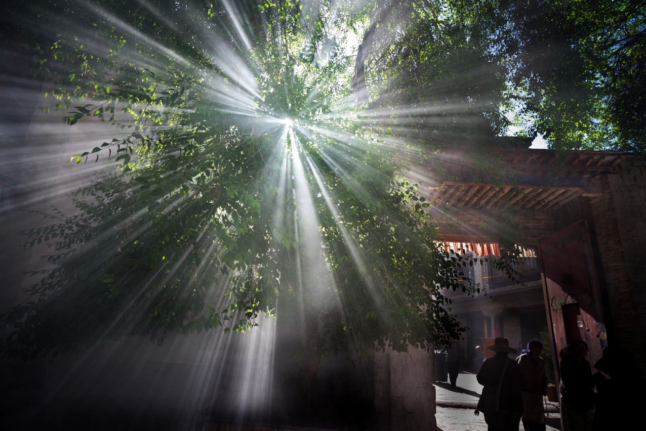 晨光乍現_小昭寺
