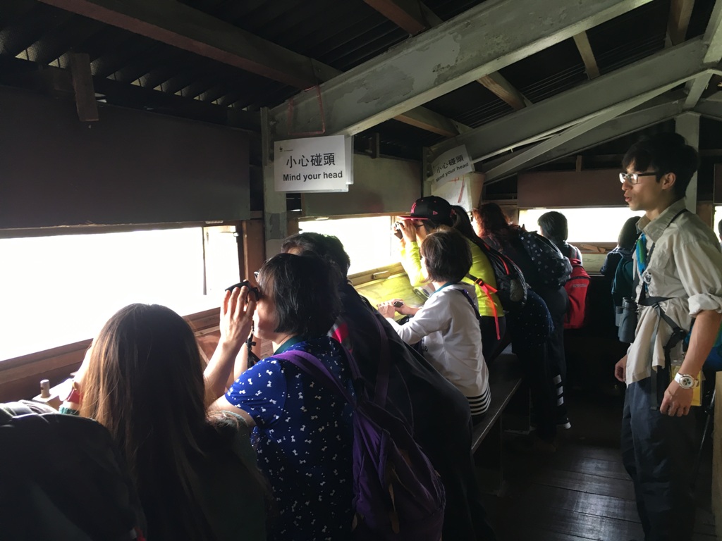 “環保Fans”到觀鳥屋觀賞候鳥。
