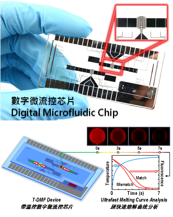 UM explores DNA kinetic limitation on microchips