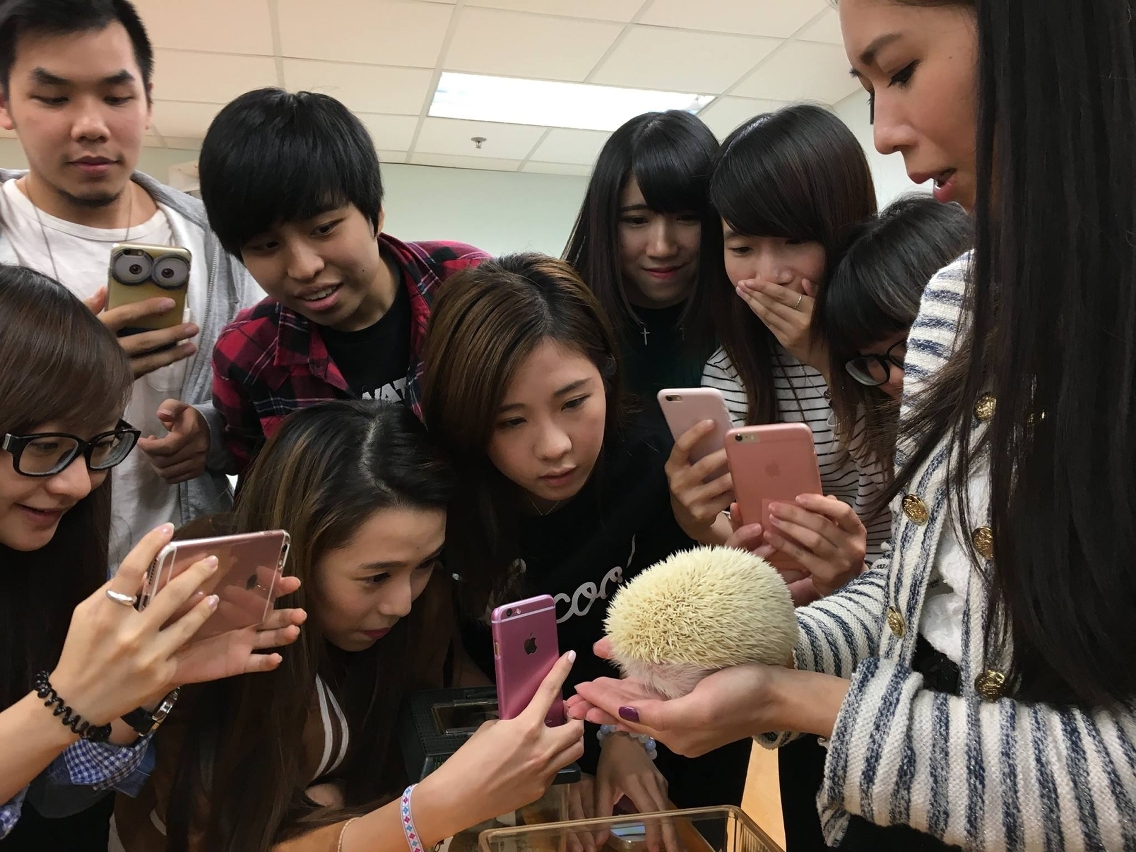 寵物俱樂部將店舖內的一些寵物帶到課堂與學生分享營運概念