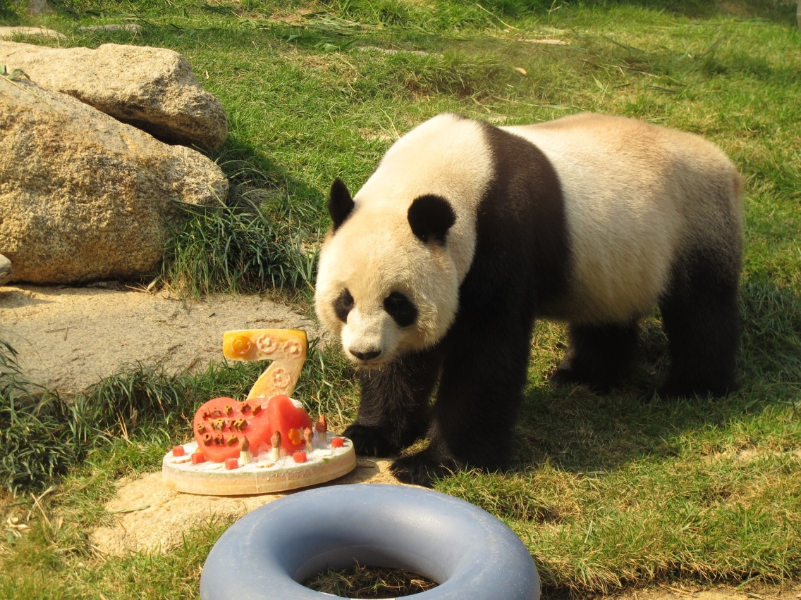 蜀祥7歲生日照