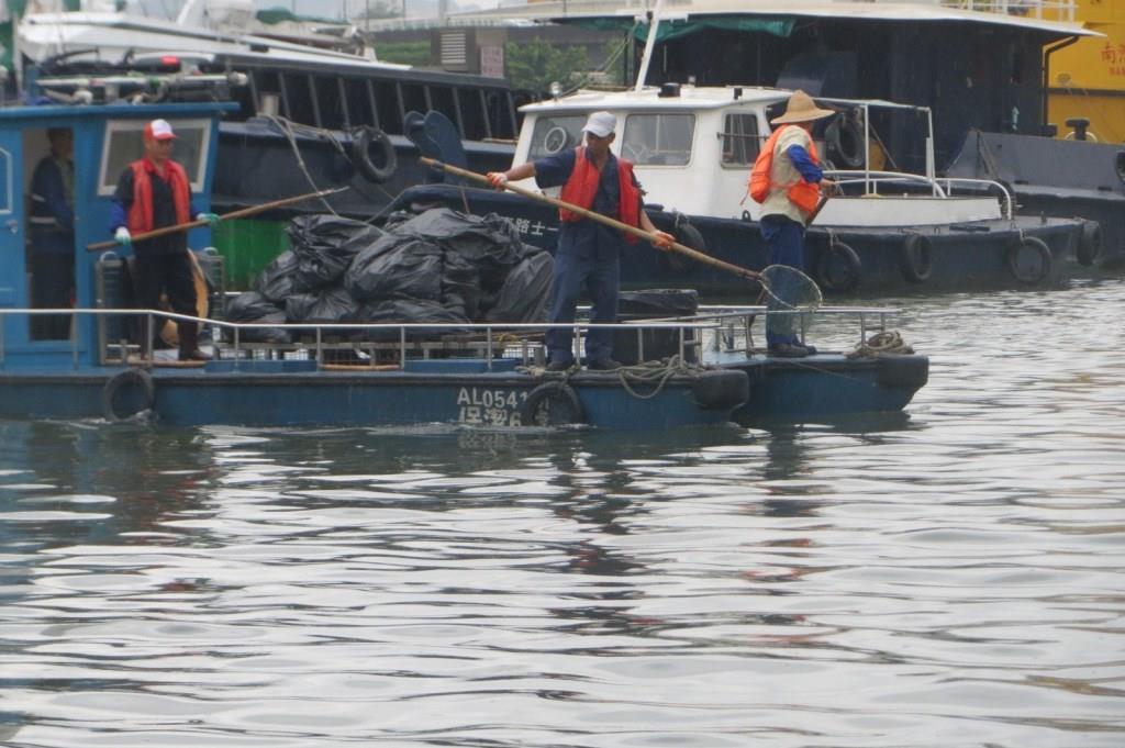 海事及水務局清理死魚