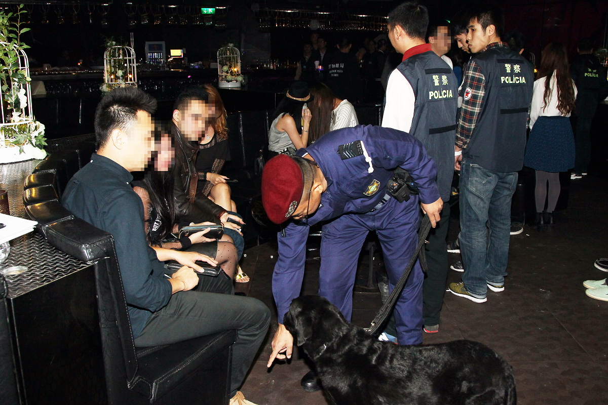 警察總局大型巡查行動 圖片4