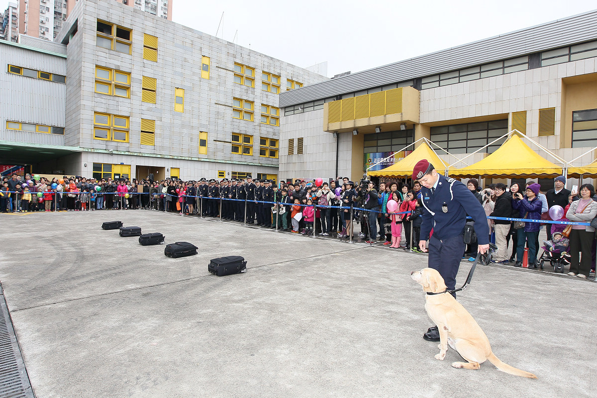 警犬搜毒演示