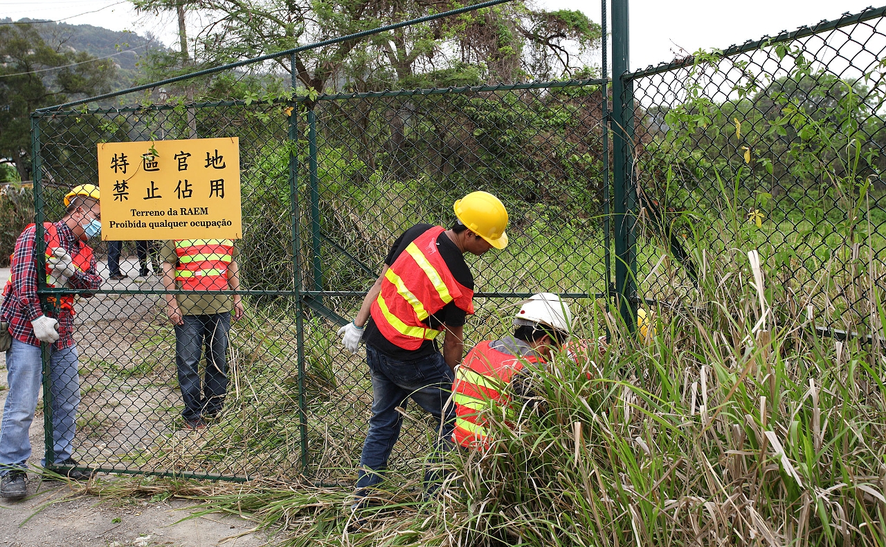 政府嚴打非法佔地